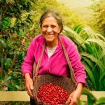 Kawa ziarnista Jacobs Origins Fusion Brazil & Colombia, 100% arabica, 1kg - obrazek 4